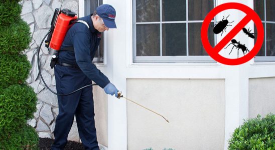 Şarkışla Bit İlaçlama böcek ilaçlama ve haşere kontrolü — ilaclama-tr.com